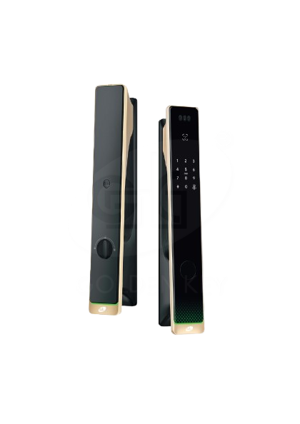 ALPHA – A1  Smart Push Pull Lock