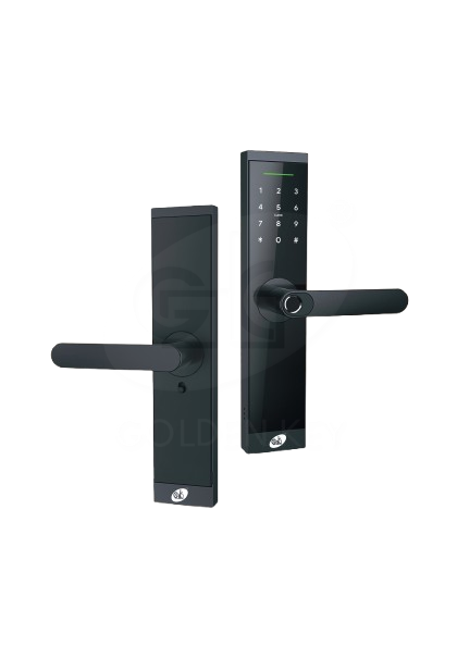 NEX - N60  Smart Lever Lock