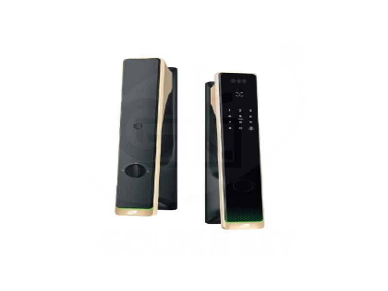 ALPHA – A1  Smart Push Pull Lock