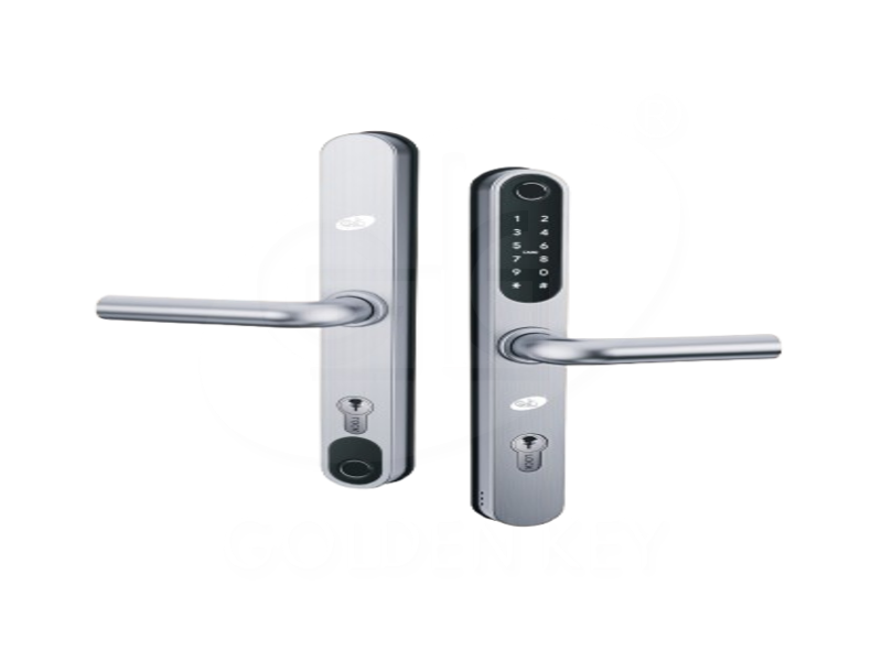 SAM -S50 Smart Grill Lock