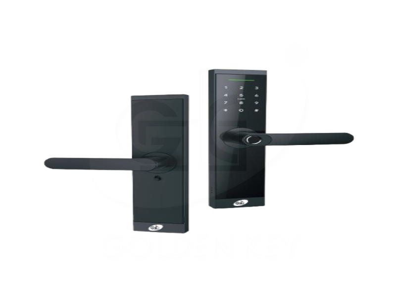 NEX - N60  Smart Lever Lock