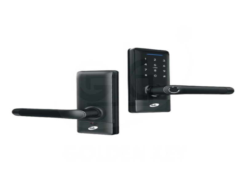 DOMO – D10  Smart Tubular Lock