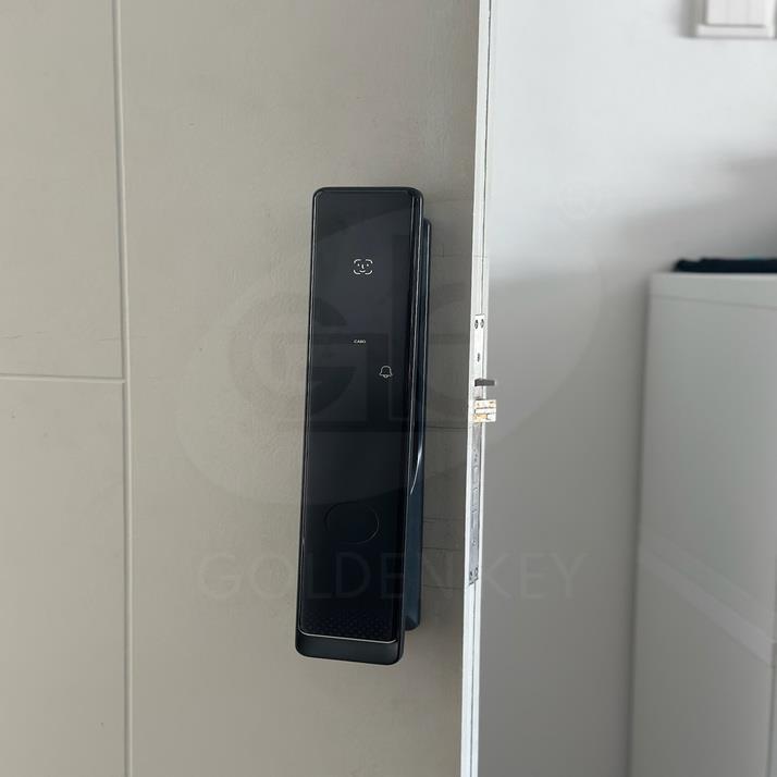 ALPHA – A1  Smart Push Pull Lock
