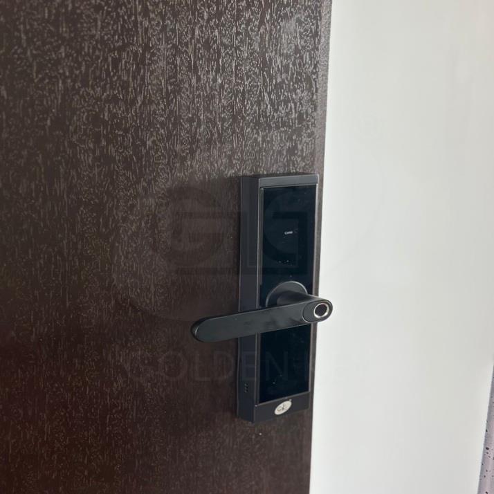 NEX - N60  Smart Lever Lock