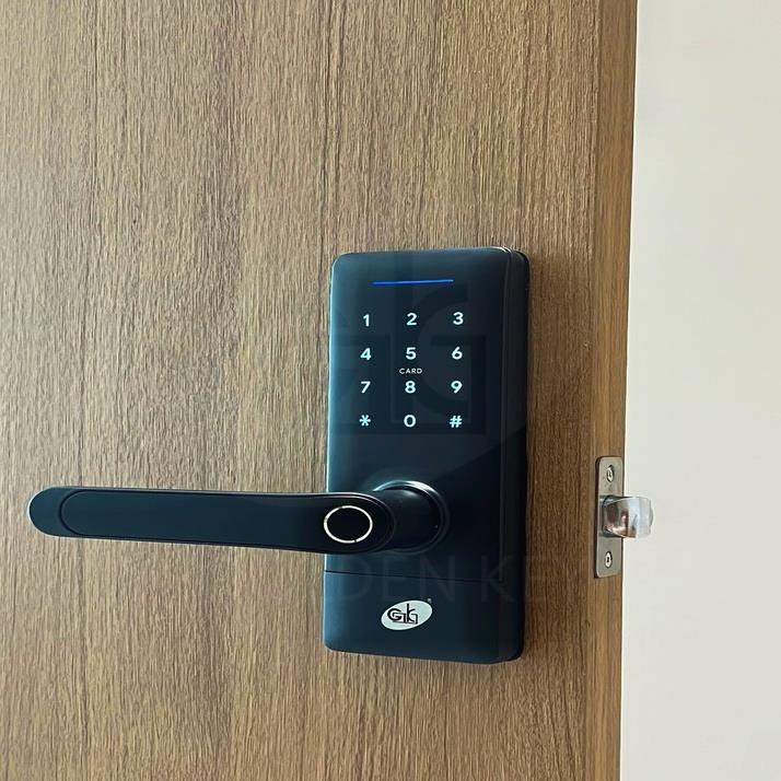 DOMO – D10  Smart Tubular Lock