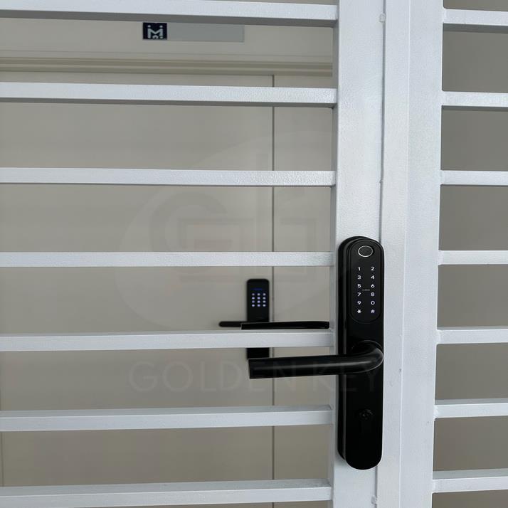 SAM -S50 Smart Grill Lock